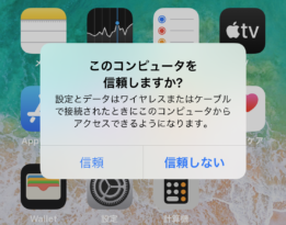 「このコンピューターを信頼しますか？」の表示画面