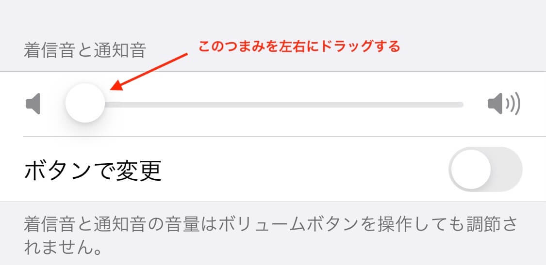 iPhoneの音声設定の確認方法